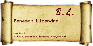 Benesch Lizandra névjegykártya
